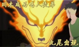 川木最新爆料,揭秘娱乐圈幕后真相